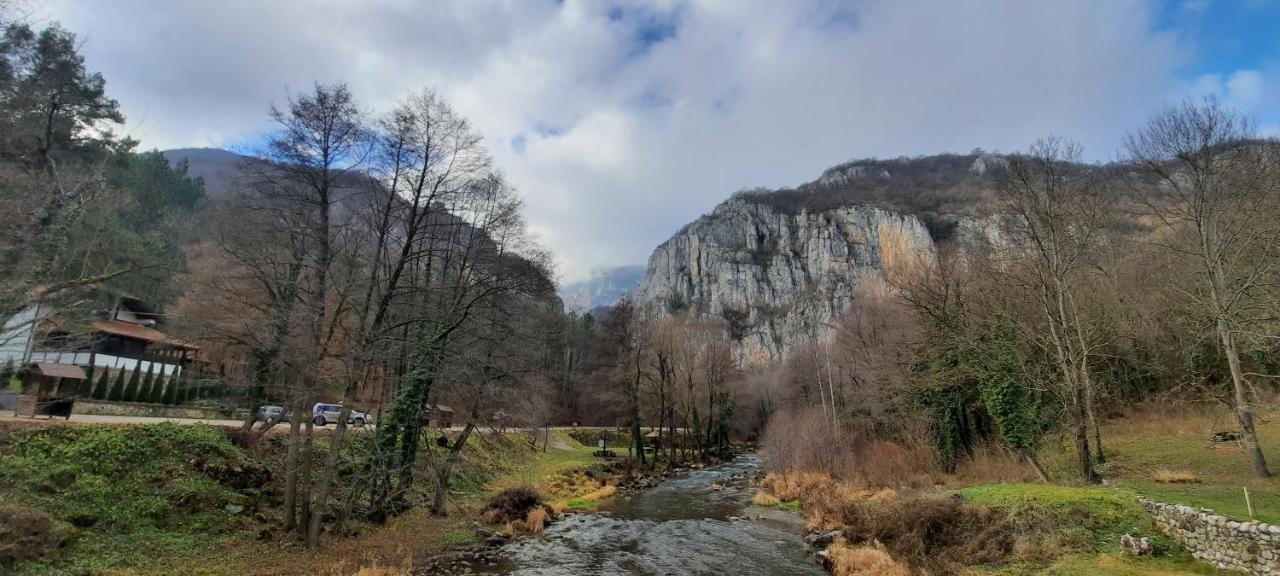 Golemi Kamik Pirot Vlasi Buitenkant foto