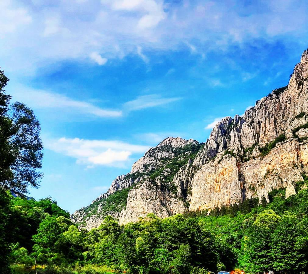 Golemi Kamik Pirot Vlasi Buitenkant foto