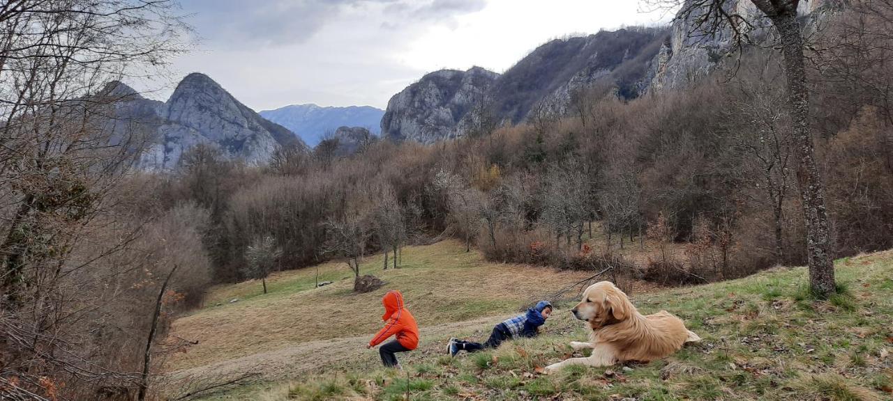 Golemi Kamik Pirot Vlasi Buitenkant foto