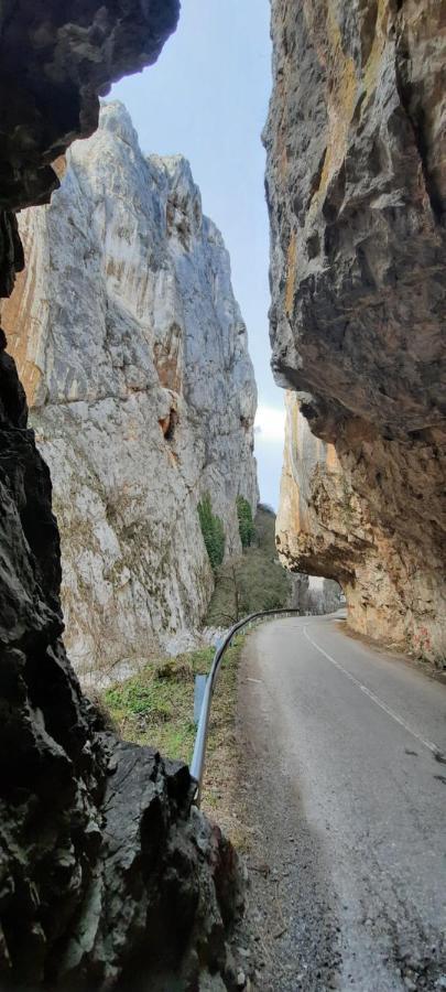 Golemi Kamik Pirot Vlasi Buitenkant foto