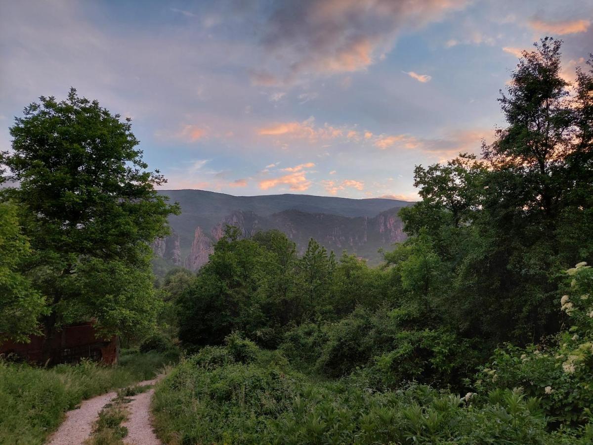 Golemi Kamik Pirot Vlasi Buitenkant foto