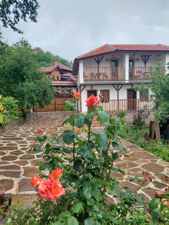Golemi Kamik Pirot Vlasi Buitenkant foto