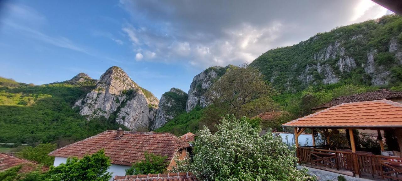 Golemi Kamik Pirot Vlasi Buitenkant foto