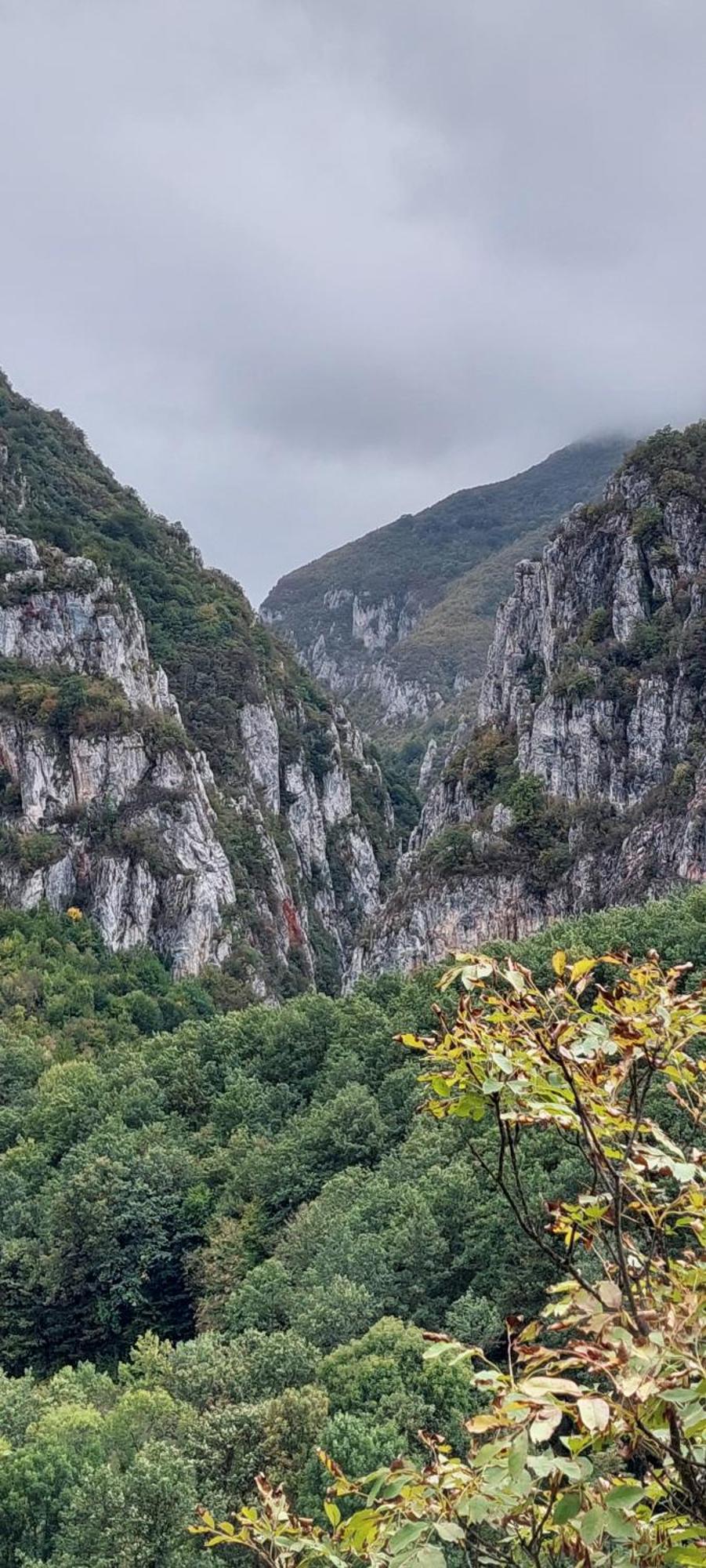 Golemi Kamik Pirot Vlasi Buitenkant foto